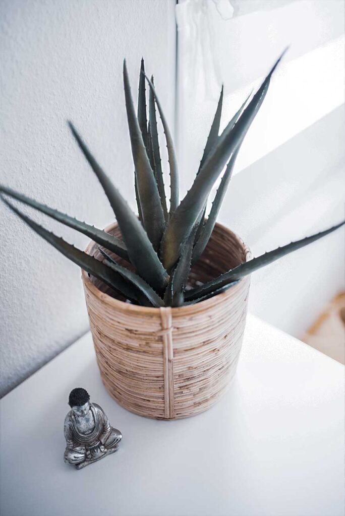 通常商品サンプル